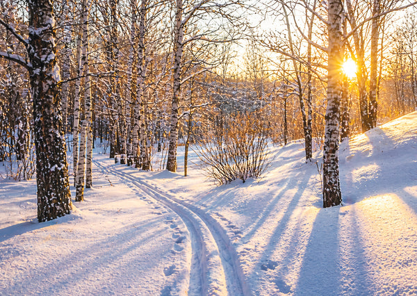 Winter Sunlight<p style="color_gold">LUXURY RANGE