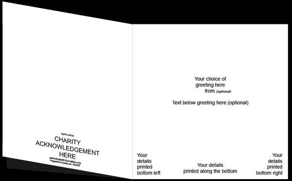 The Nativity<p style="color_gold">LUXURY RANGE